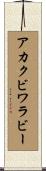 アカクビワラビー Scroll