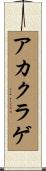 アカクラゲ Scroll