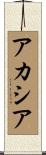 アカシア Scroll