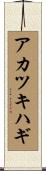 アカツキハギ Scroll