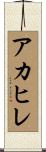 アカヒレ Scroll