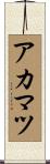 アカマツ Scroll