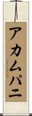 アカムパニ Scroll