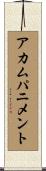アカムパニメント Scroll