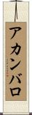 アカンバロ Scroll