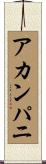 アカンパニ Scroll