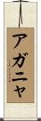 アガニャ Scroll