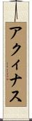 アクィナス Scroll