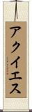 アクイエス Scroll