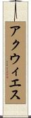アクウィエス Scroll