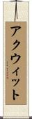 アクウィット Scroll