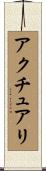 アクチュアリ Scroll