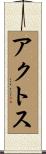 アクトス Scroll