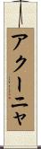 アクーニャ Scroll