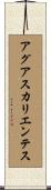 アグアスカリエンテス Scroll