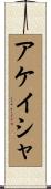 アケイシャ Scroll