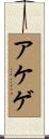 アケゲ Scroll