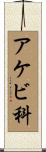 アケビ科 Scroll
