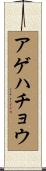 アゲハチョウ Scroll