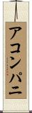 アコンパニ Scroll