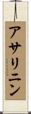アサリニン Scroll
