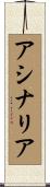 アシナリア Scroll