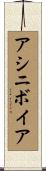 アシニボイア Scroll