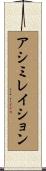アシミレイション Scroll