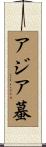 アジア蟇 Scroll