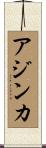 Ajinkya Scroll