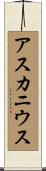 アスカニウス Scroll