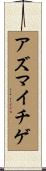アズマイチゲ Scroll