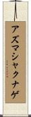 アズマシャクナゲ Scroll