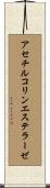 アセチルコリンエステラーゼ Scroll