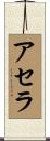 アセラ Scroll