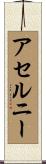 アセルニー Scroll