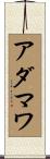 アダマワ Scroll
