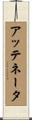 アッテネータ Scroll
