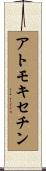 アトモキセチン Scroll