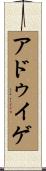 アドゥイゲ Scroll