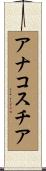 アナコスチア Scroll