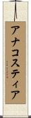 アナコスティア Scroll