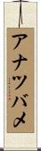 アナツバメ Scroll