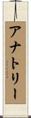 Anatoli Scroll