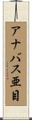 アナバス亜目 Scroll