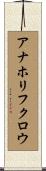 アナホリフクロウ Scroll