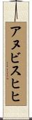 アヌビスヒヒ Scroll