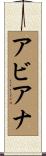 Avianna Scroll
