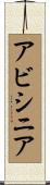 アビシニア Scroll