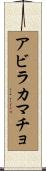 アビラカマチョ Scroll